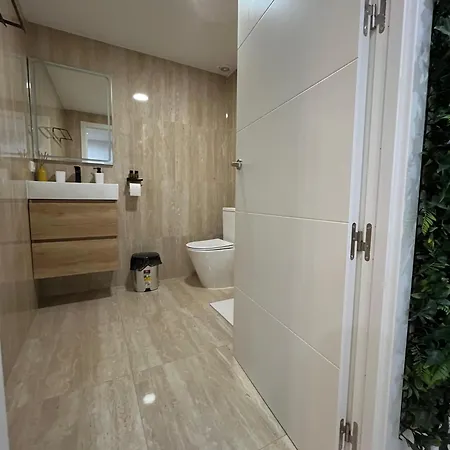 Loft 公寓 阿利坎特