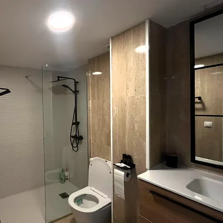 Loft 公寓 阿利坎特